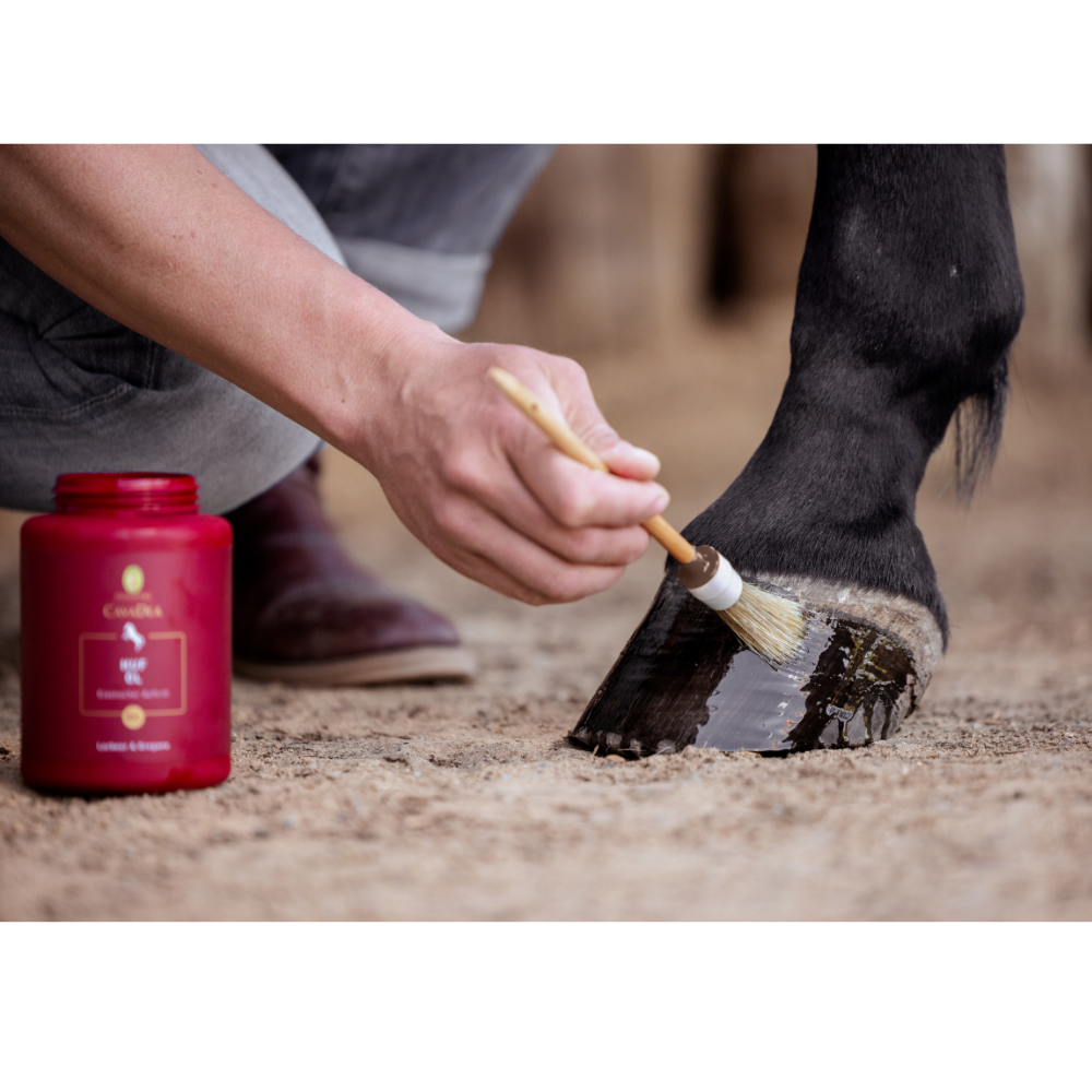 CavaDea Huf Öl für Pferde, bio