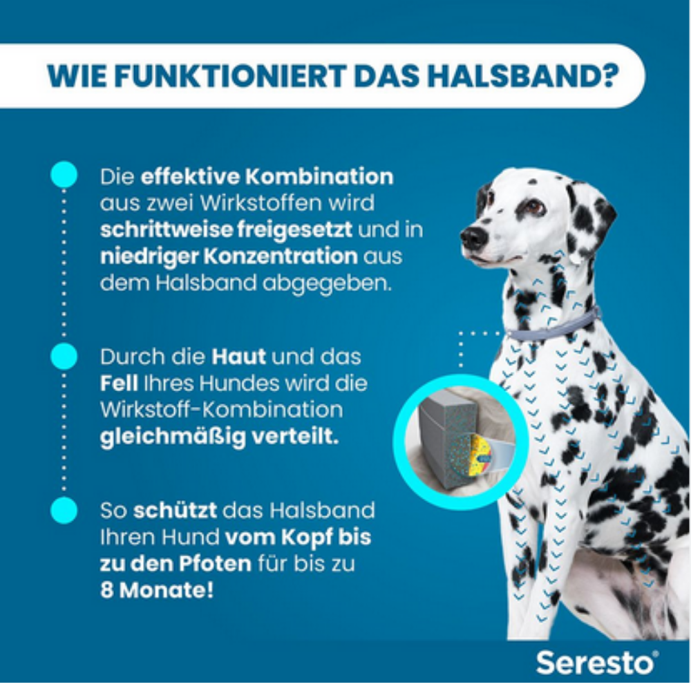 Seresto Halsband für große Hunde >8kg