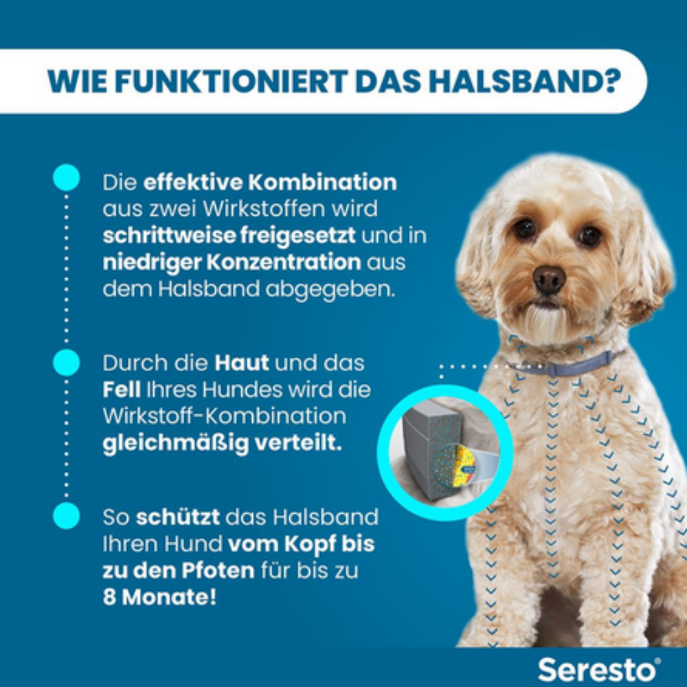 Seresto Halsband für kleine Hunde <8kg